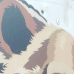 Sergey, ���������, 63 ����