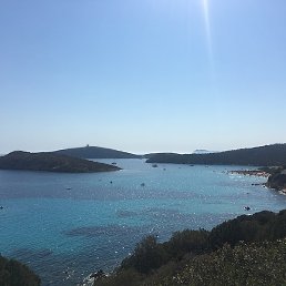 Mauro, �������, 50 ���