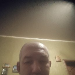 ���� �������, ����, 41 ���