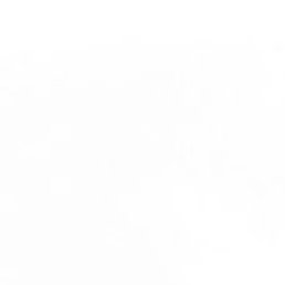 ������, ����, 44 ����