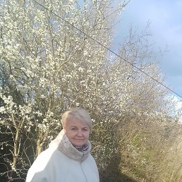 , 59, 
