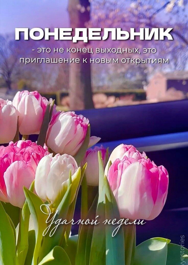 5 мая... Понедельник... Доброе утро! Пусть в вашей жизни будет как можно меньше пасмурных дней и как ...