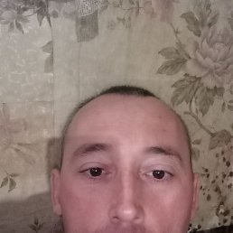 ����, 38 ���, ��������