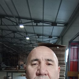 , 55, 