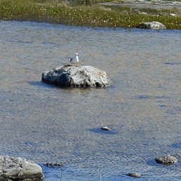 ���� Bod, ��������, 27 ��� - ��������� 24 ������� 2023