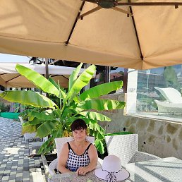 �����, ������, 69 ���