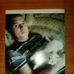 , 40, 
