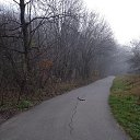 ���� ������, ����������, 46 ��� - ��������� 28 ������� 2024 � ������ �������