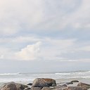 ���� ����, ����������, 41 ��� - ��������� 22 ������ 2026