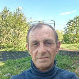 �����, 56 ���, ������