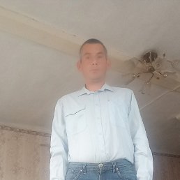 ���� ���������, ���������, 41 ��� - ��������� 3 ������ 2026
