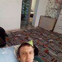 ���� ����, ���������, 41 ��� - ��������� 18 ���� 2025 � ������ ���� ����������