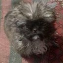 ���� Lena, ����, 31 ��� - ��������� 10 ������ 2024