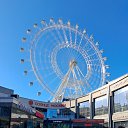���� "������", ��������� - ��������� 16 ��� 2024 � ������ ���������