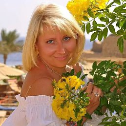 , 43 , 
