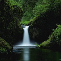 ����@, �������, 50 ���