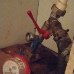 �������, ������, 39 ���