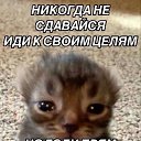  , -, 30  -  7  2025    