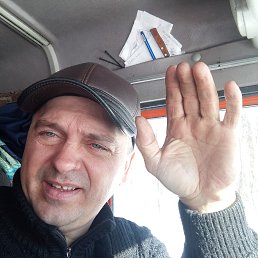 , 43,  