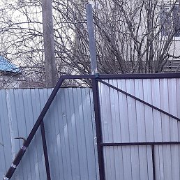 �������, ���������, 63 ����