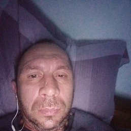 ���� �������, �����������, 43 ���� - ��������� 5 ������ 2024