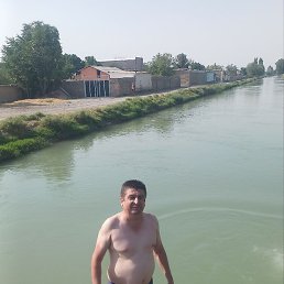 �����, �����, 43 ����