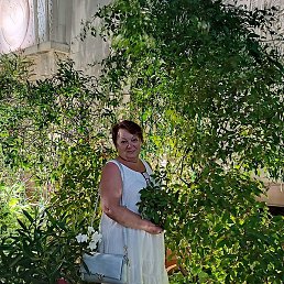 �����, ����, 74 ����