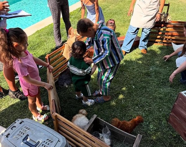 ������ ����� �������� 2-����� ����.39-������ ������� ������� �� �������� ����������� ������� ... - 3