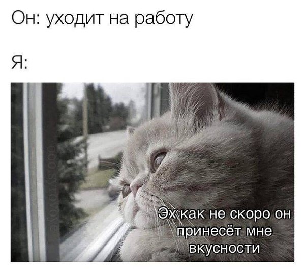    - 11  2024  21:43