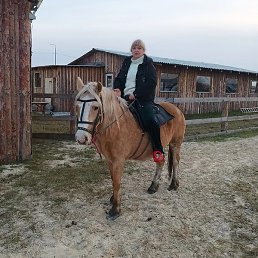 �������, ���������, 56 ���