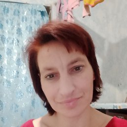 �������, 38 ���, ������