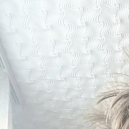 �������, �������, 36 ���