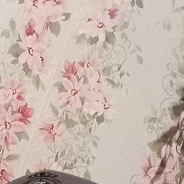 Фото Вова, Великий Новгород, 55 лет Вова, Великий Новгород, 55 лет