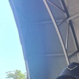 ��������, ����, 35 ���