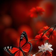 ����, 57 ���, ���������