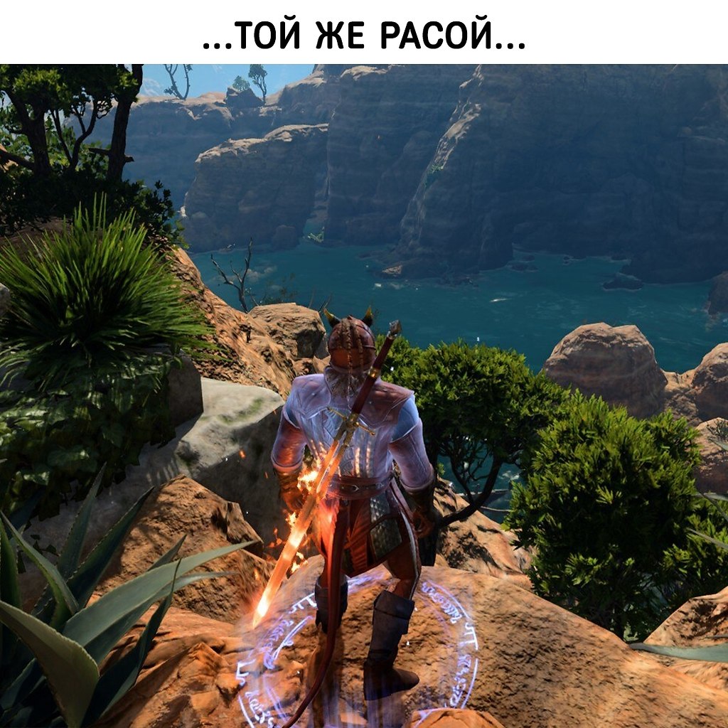 ����� ������������ ������ ���� - 6