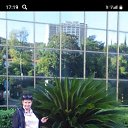 ���� �����, ������-��-����, 43 ���� - ��������� 31 ������� 2025 � ������ ���� ����������