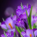 ���� ����, ������������, 50 ��� - ��������� 26 ������ 2024 � ������ ���� ����������