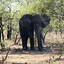 ���� Alex, �����-��������� - ��������� 5 ������� 2025 � ������ �������