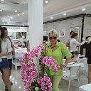 ���� �������, ����� - ��������� 11 ������� 2026 � ������ ���� ����������