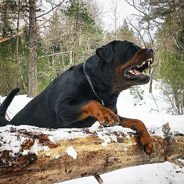 Unreal, ������, 19 ���