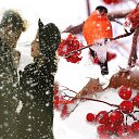���� �������, ������ - ��������� 7 ������� 2025 � ������ ������ ��������