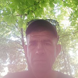 , 42, 