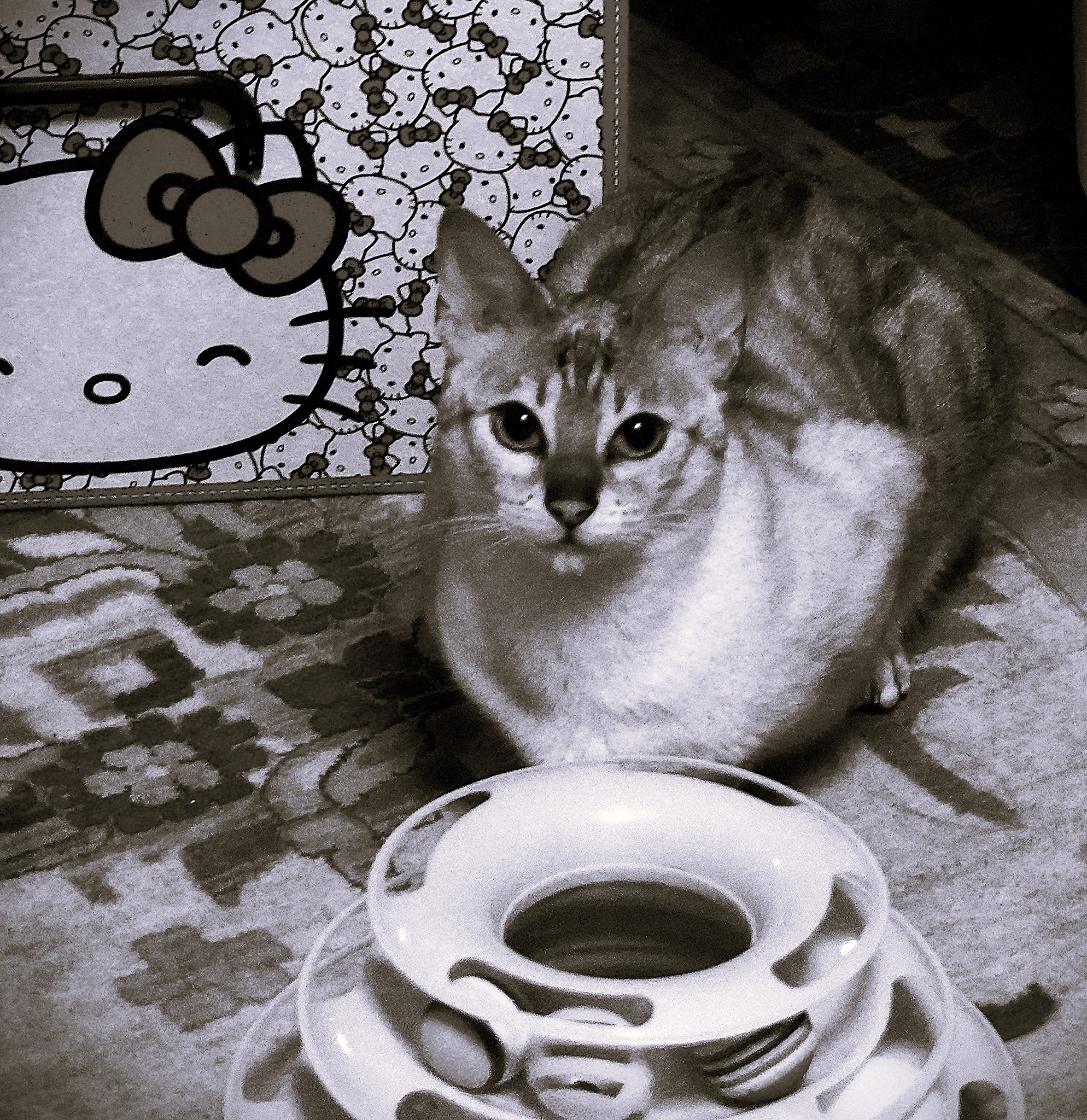 Uegenia Seidel - 6  2025  19:38