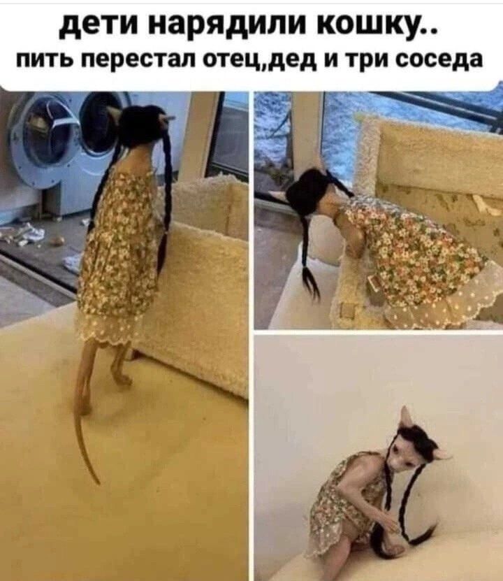  - 24  2025  17:59