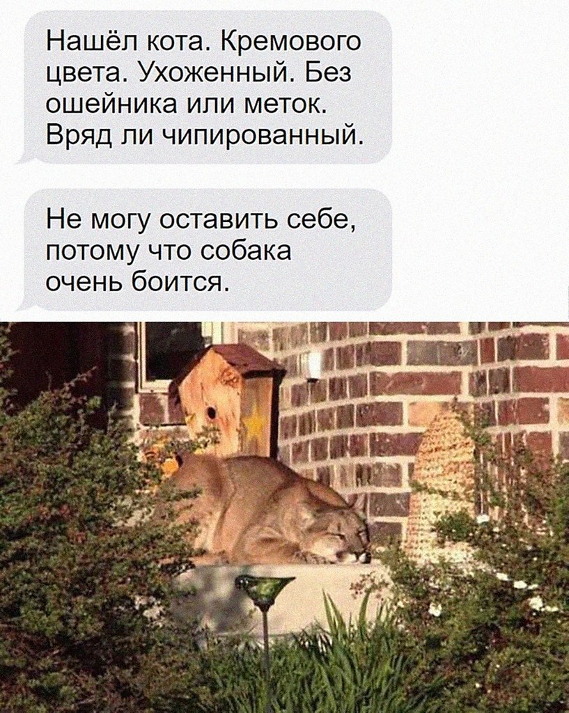 ?