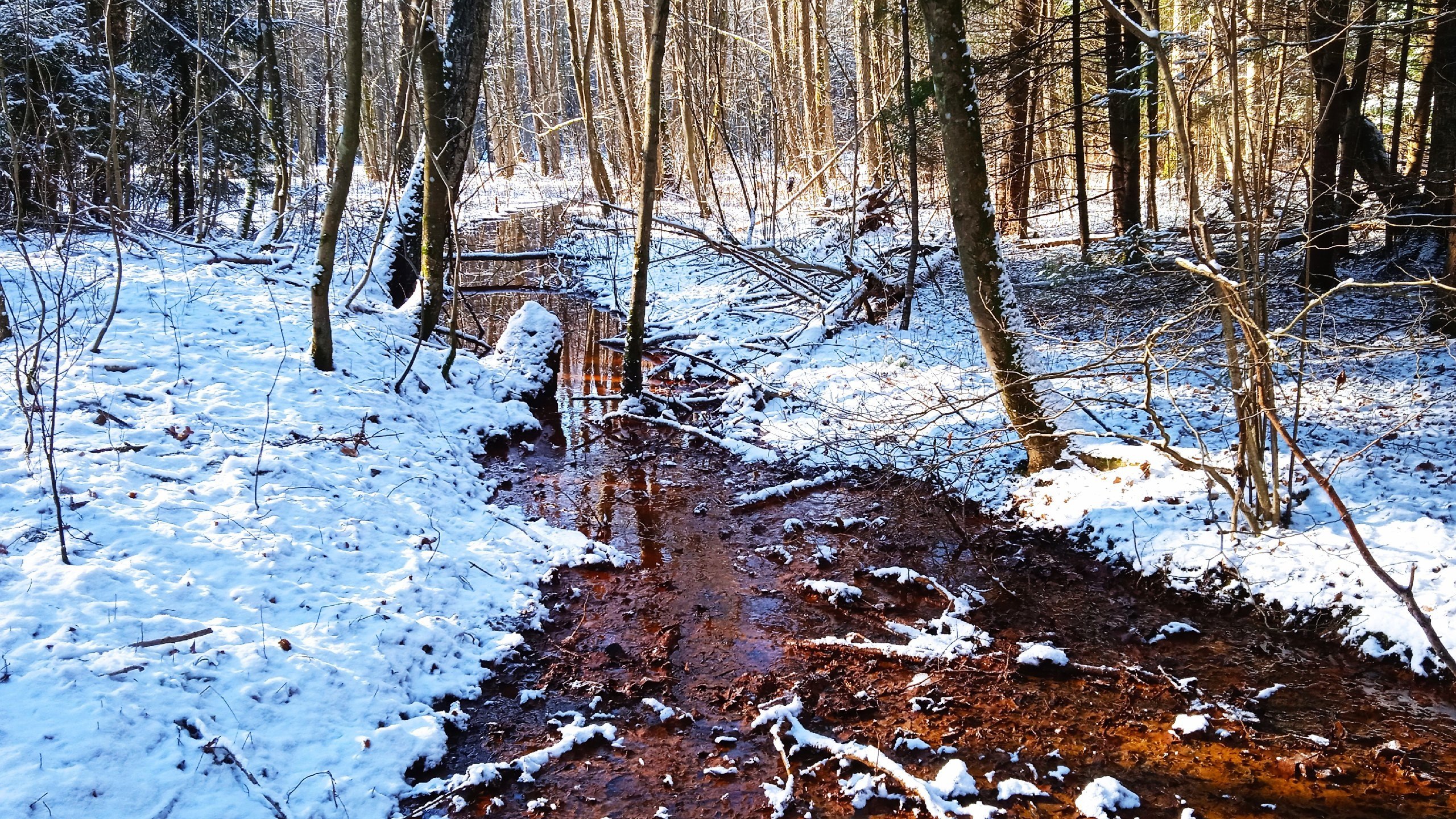 ������� ��������� - 16 ������� 2025 � 21:55 - 3