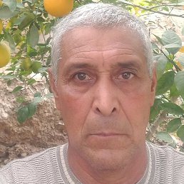 �����, �������, 65 ���