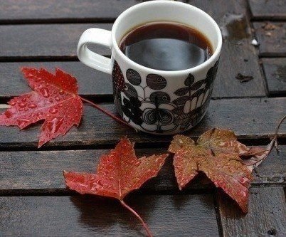 ,    -      -    . ,  ... - 2