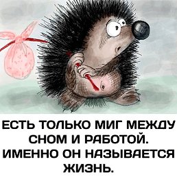 ���� ��������, ���������, 37 ��� - ��������� 30 ������ 2023